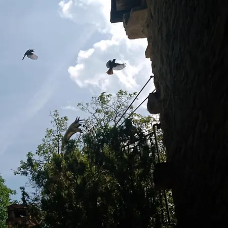 Bed & Breakfast Nicole Ponti