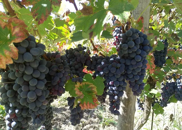 Nicole Nocleg ze śniadaniem