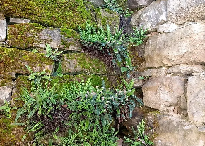 Nicole Nocleg ze śniadaniem Ponti