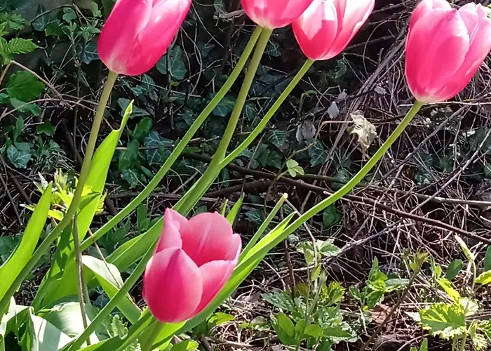 Nicole Nocleg ze śniadaniem *