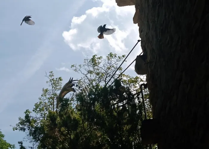 Nocleg ze śniadaniem Nicole Ponti